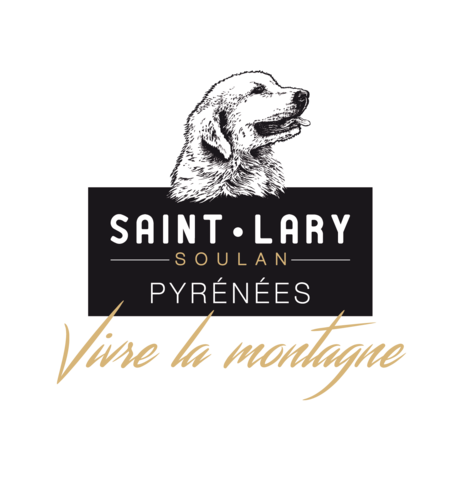 logo_st_lary_intermediaire